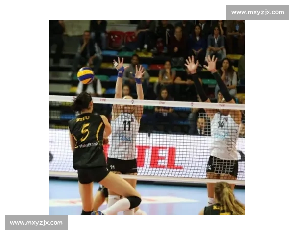 莎拉波娃对决科宁新生代与传奇的巅峰碰撞赛网坛焦点之夜激烈较量